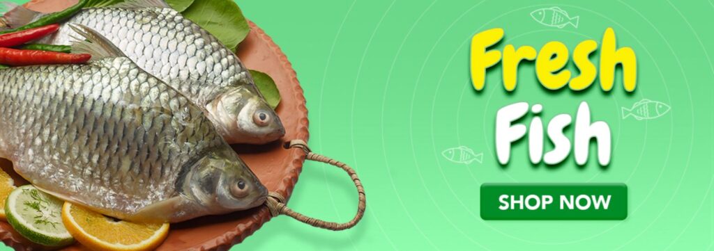 Fresh fish_D_1552