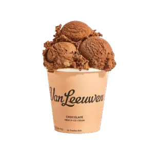 van-leeuwen-ice-cream-chocolate-bo-220810-d8f717-removebg-preview
